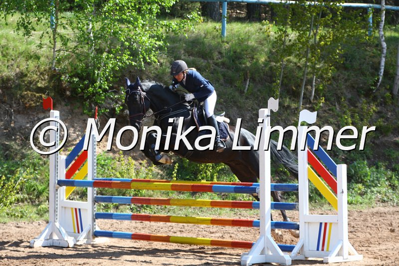 004M1613_Fantastic Touch_Springpferde A xx.JPG